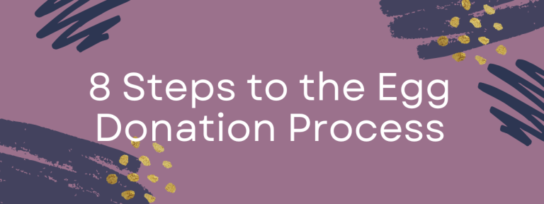 8 Steps to the Egg Donation Process