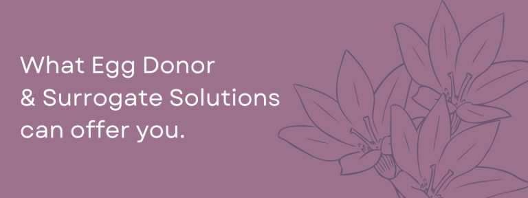 What Egg Donor & Surrogate Solutions can offer you