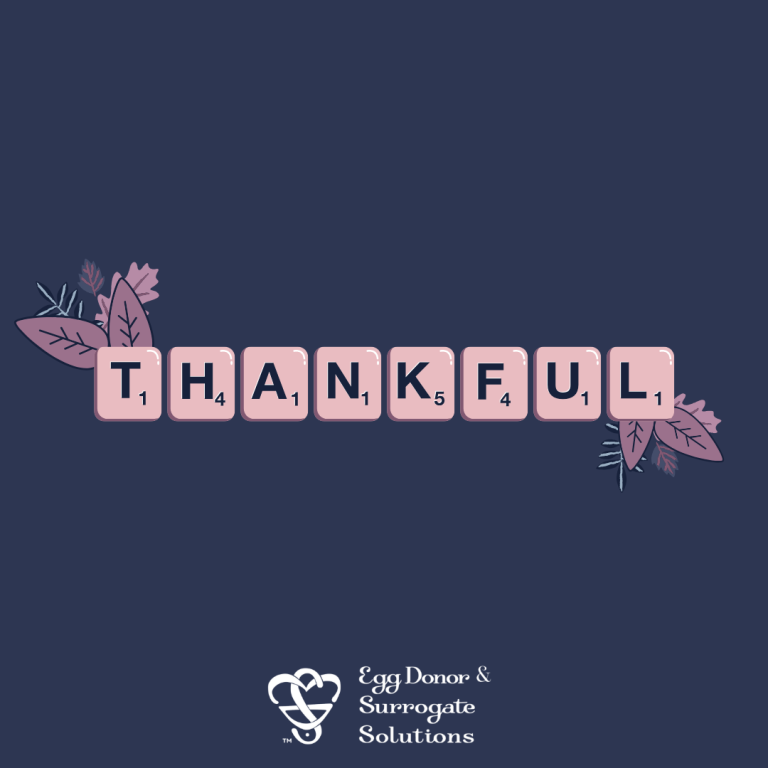 Thank You to Our Amazing Surrogates and Egg Donors!