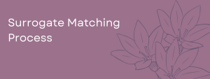 Surrogate Matching Process