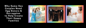 Helping to create happy families for same sex couples as an egg donor or surrogate