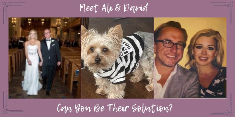 Meet Ali & David, can you be their solution?