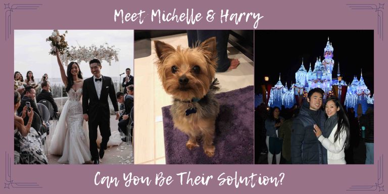 Meet Michelle & Harry, can you be their solution?