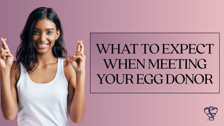 What to Expect When Meeting Your Egg Donor