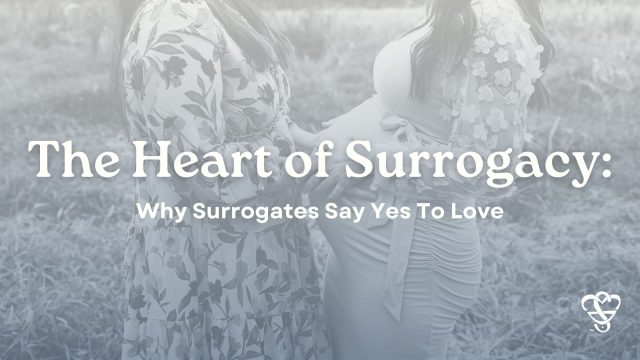 heart of surrogacy