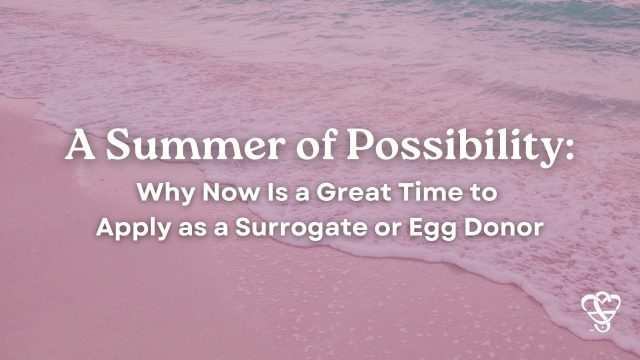 summer of possibility